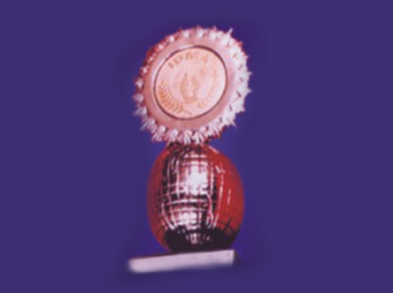 Quality Excellence Award