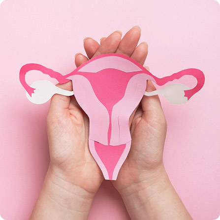 Obstetrics Gynecology