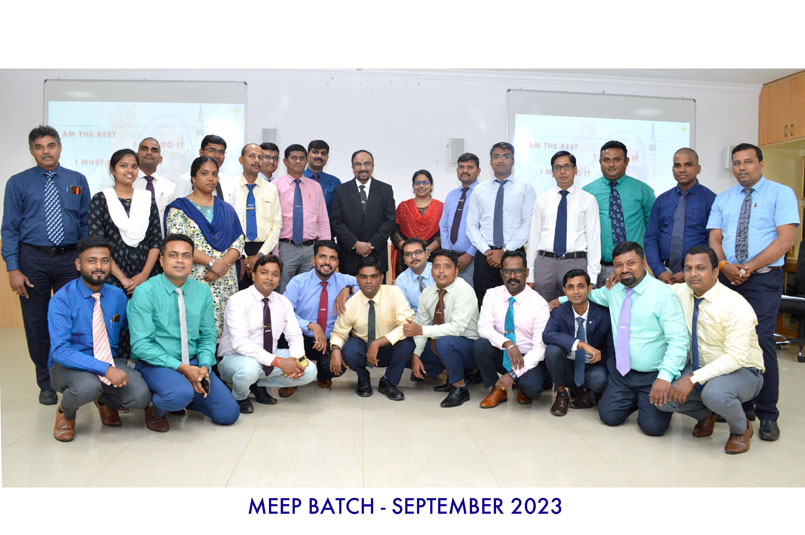 FLM-Meep-Batch-Sept-2023